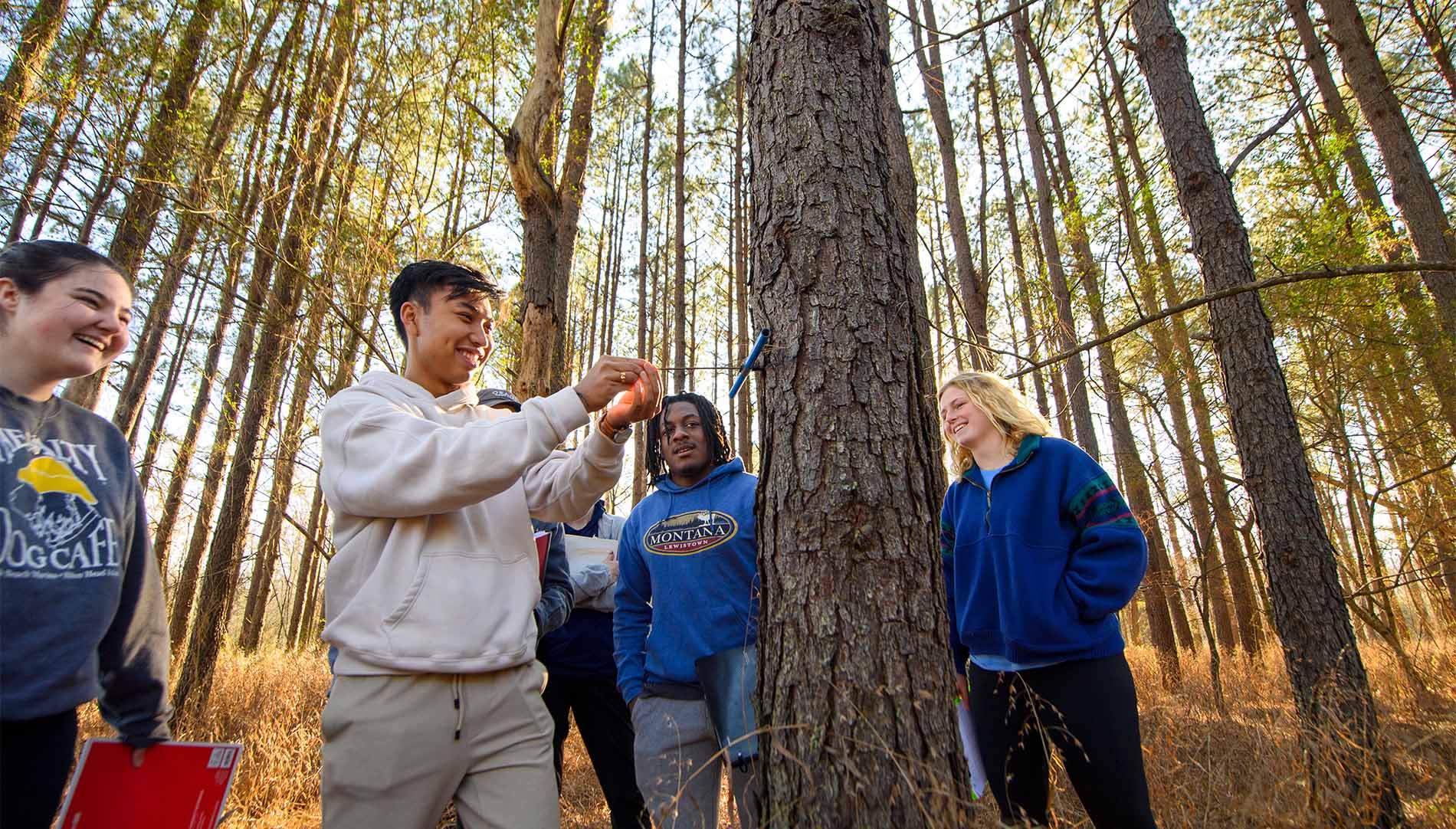 Students circled around a tree in class