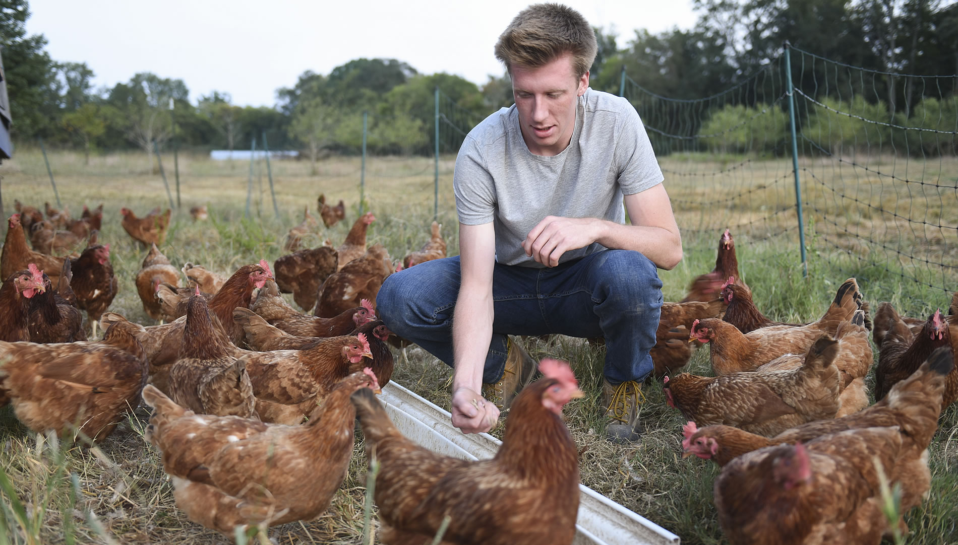             On-campus Work with Animals and Student-run Business Sets Path for Future Vet     