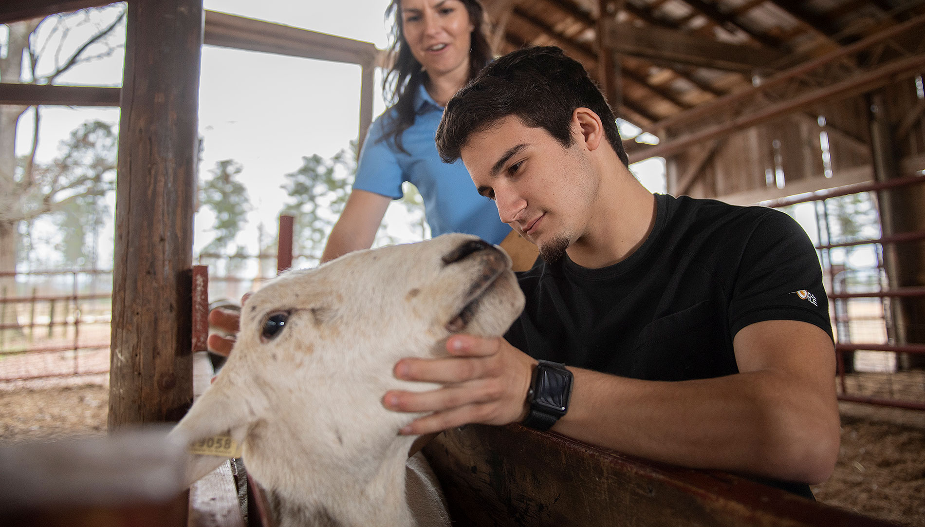             Research and Teaching Roles Positioned Animal Science Major for Graduate Assistantship     
